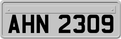 AHN2309