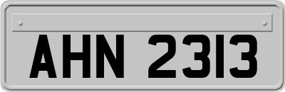 AHN2313