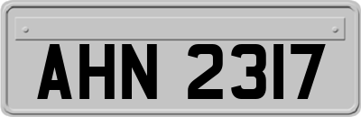 AHN2317