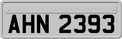 AHN2393