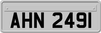 AHN2491