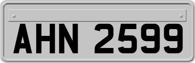AHN2599