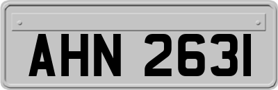 AHN2631