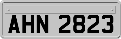 AHN2823
