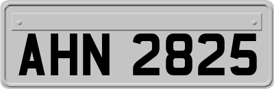 AHN2825