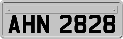 AHN2828