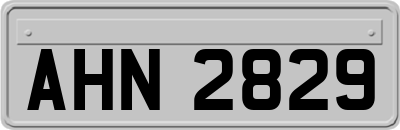 AHN2829