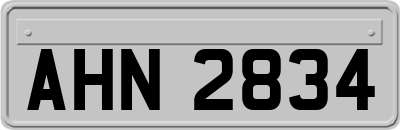 AHN2834