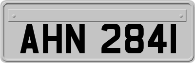 AHN2841