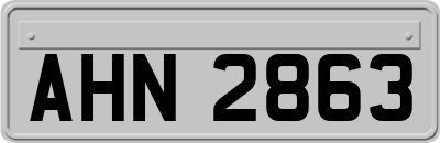 AHN2863