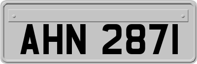 AHN2871