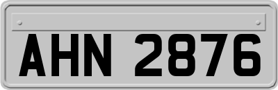 AHN2876