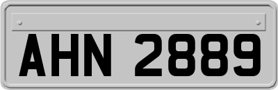 AHN2889