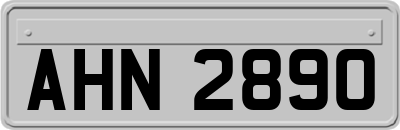 AHN2890