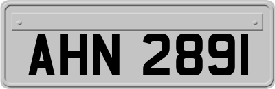 AHN2891