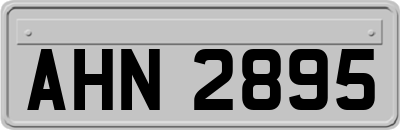 AHN2895