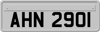 AHN2901