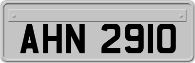 AHN2910