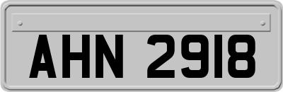 AHN2918