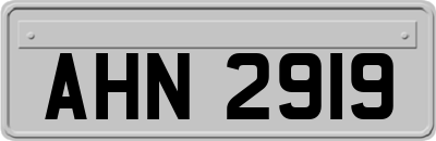AHN2919