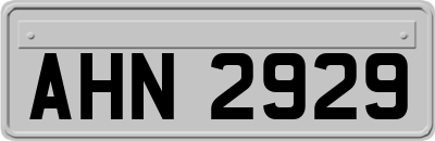 AHN2929