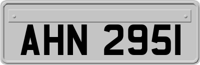 AHN2951