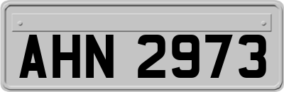 AHN2973