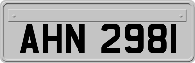 AHN2981