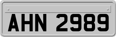 AHN2989