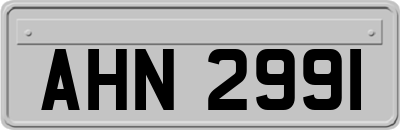 AHN2991