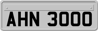 AHN3000