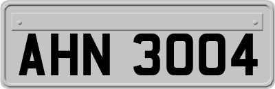 AHN3004