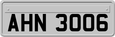 AHN3006