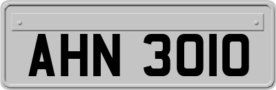 AHN3010