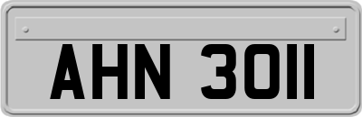 AHN3011