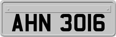 AHN3016