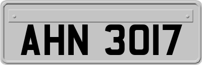 AHN3017