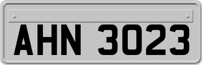 AHN3023