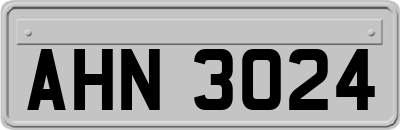 AHN3024