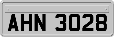 AHN3028