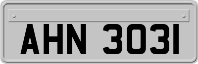 AHN3031