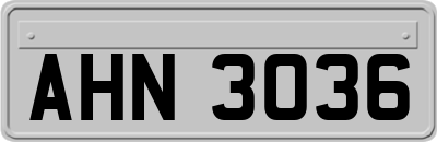 AHN3036