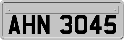AHN3045