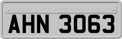AHN3063