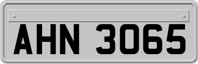 AHN3065