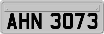 AHN3073