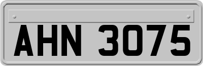 AHN3075