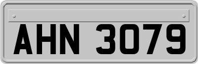 AHN3079