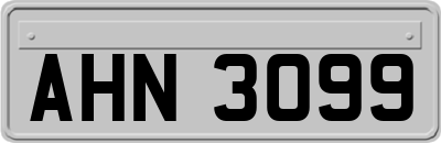 AHN3099