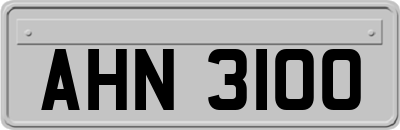 AHN3100
